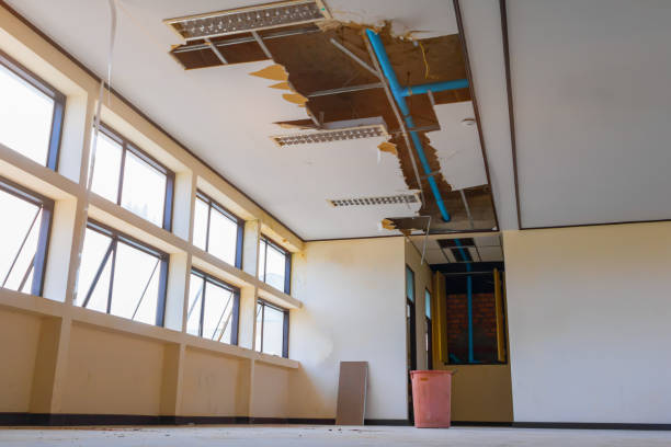 Best 24/7 water damage repair  in West Simsbury, CT