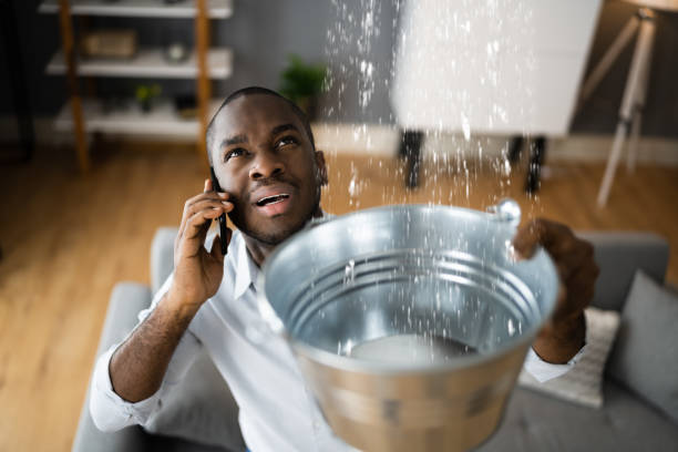Best Water damage contractors near me  in West Simsbury, CT