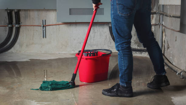 Best Local water damage restoration  in West Simsbury, CT