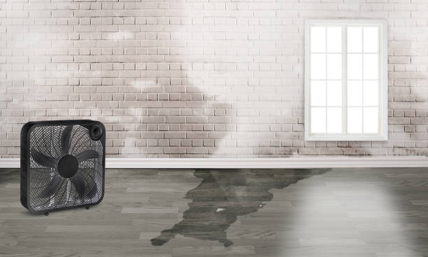 Best Water damage restoration near me  in West Simsbury, CT