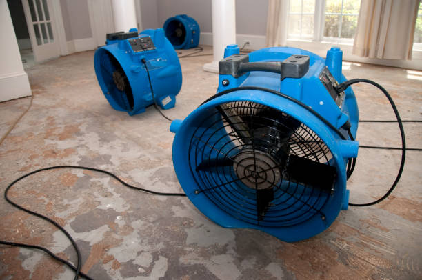  West Simsbury, CT Water damage restoration Pros