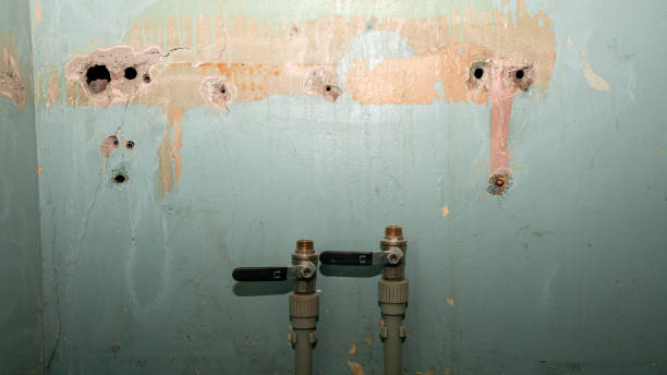 Best Carpet water damage restoration  in West Simsbury, CT