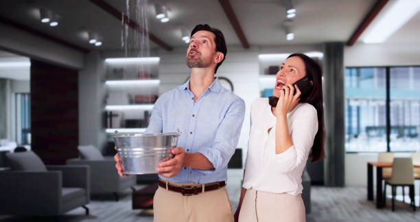 Best Water damage contractors near me  in West Simsbury, CT
